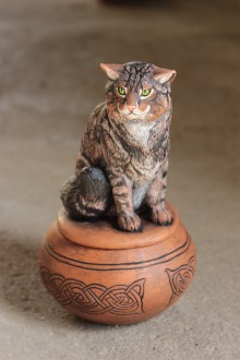 Šperkovnica divá mačka